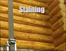  Nakina, North Carolina Log Home Staining